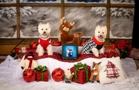 HAN_5466-Edit-Edit