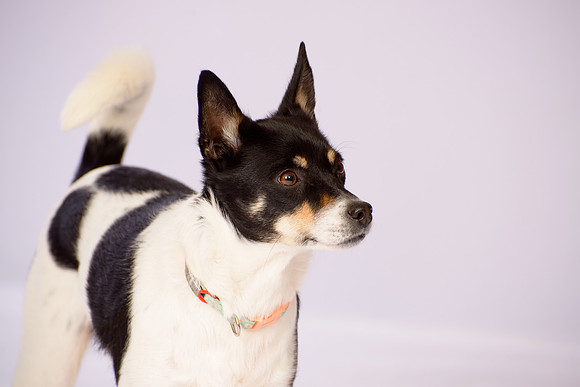 NIKON CORPORATION_NIKON D800_4086528-4233523_026