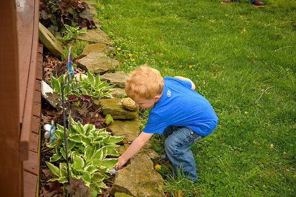 HAN_3381