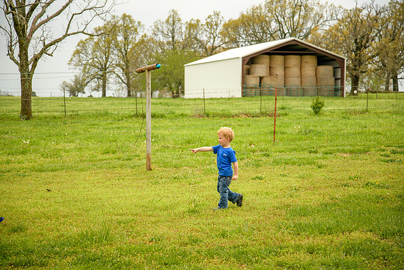 HAN_3390