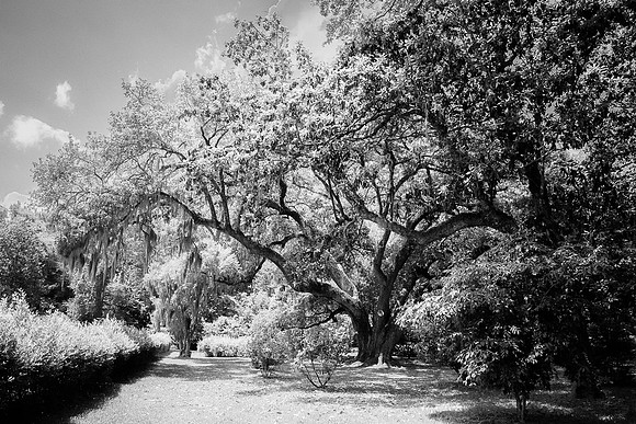 DSC_5757
